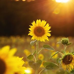 Meet your Posher, Talia